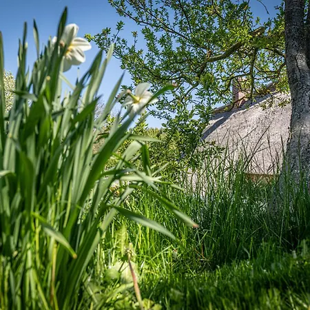 Fischerhaus Vitt - Auf Ruegen Ferienhaus Putgarten