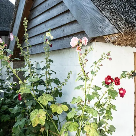 Ferienhaus Fischerhaus Vitt - Auf Ruegen