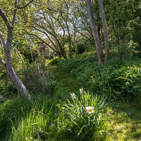 Ferienhaus Fischerhaus Vitt - Auf Ruegen Putgarten